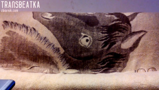 transbeatka