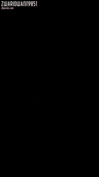 MOV_0081.mp4