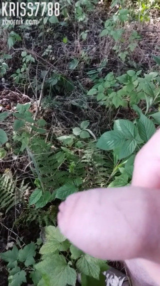 VID_20190808_171224.mp4
