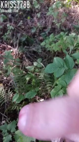 VID_20190808_171224.mp4