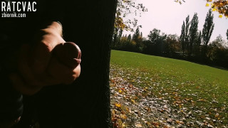 InShot_20191014_142332177.mp4