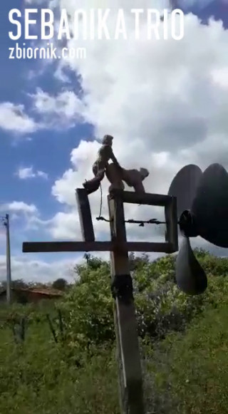 VID-20190719-WA0010.mp4