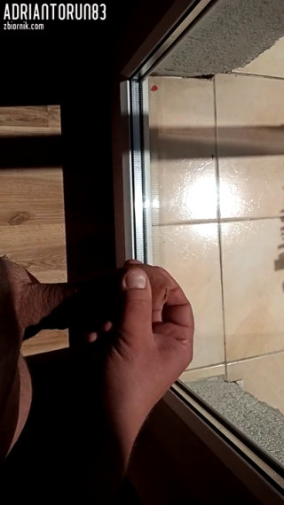 adriantorun83