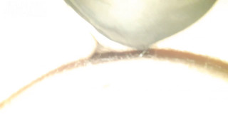 20201107_225041.mp4