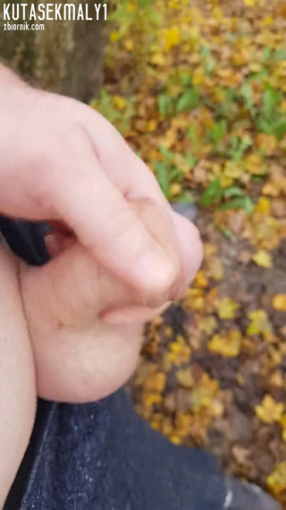 20201116_123827.mp4