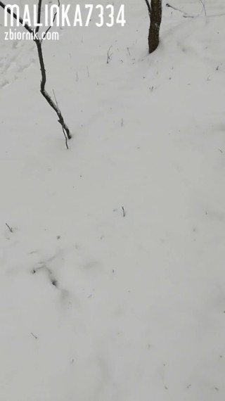 VID_20210208_113656.mp4