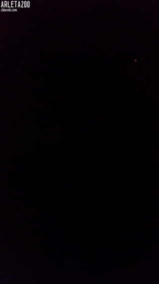 VID_20210304_030128.mp4
