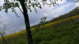 VID_20210520_133921.mp4