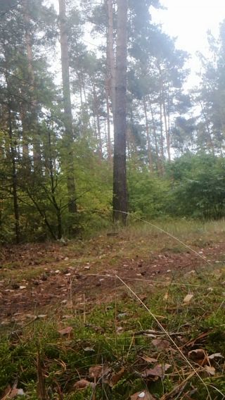 VID_20210922_181806.mp4