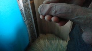 Dariusz731