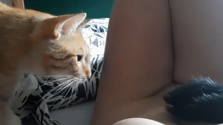 20220228_112619_001.mp4