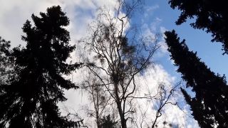 20220403_180251.mp4