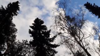 20220403_180251.mp4