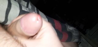 Monodini