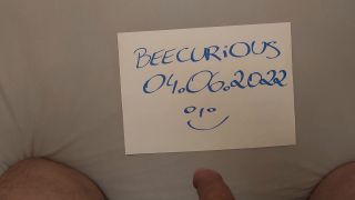 Beecurious