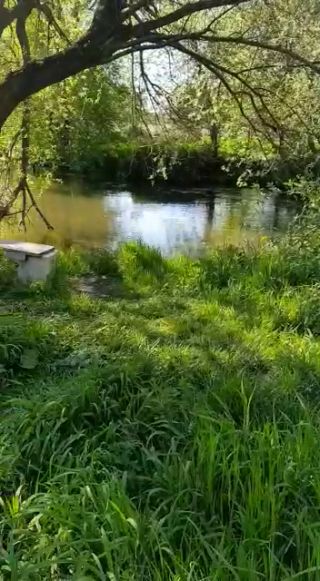 VID-20220509-WA0019.mp4