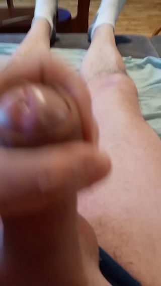 zybi44