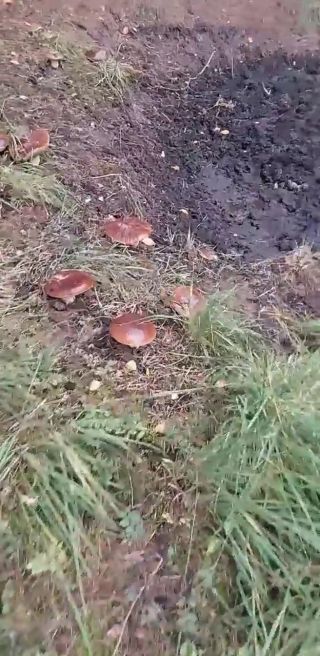 FB_VID_7094991360867552580.mp4