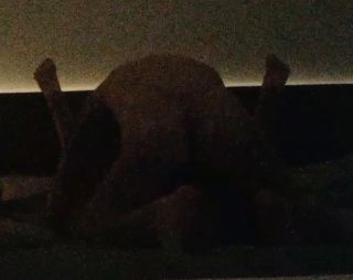YouCut_20221107_135150896.mp4