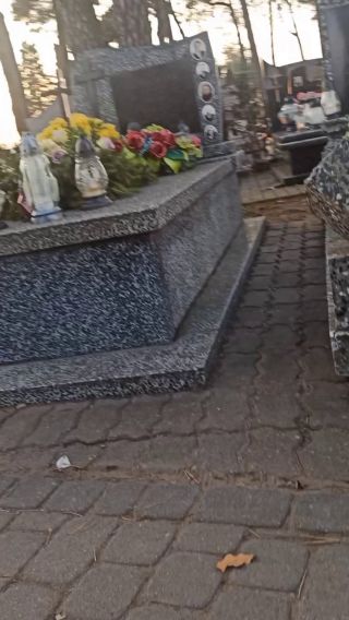 lv_0_20230306050039.mp4