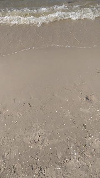 Pusta plaża