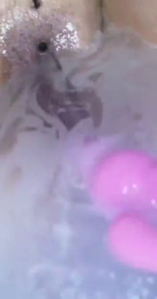 received_279767547860232.mp4