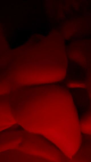 IMG_1863.mov
