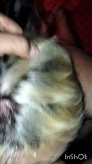 InShot_20231006_021625647.mp4
