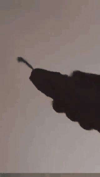 👻👻👻