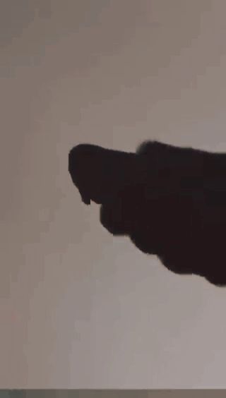 👻👻👻