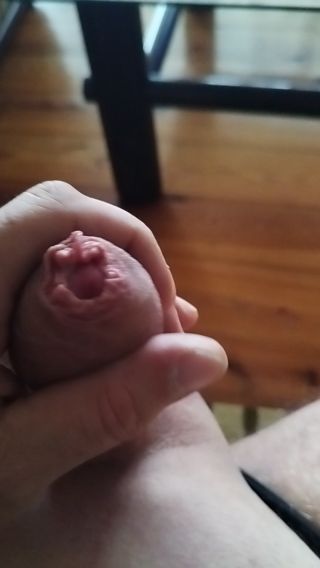 VID_20240614_123051.mp4