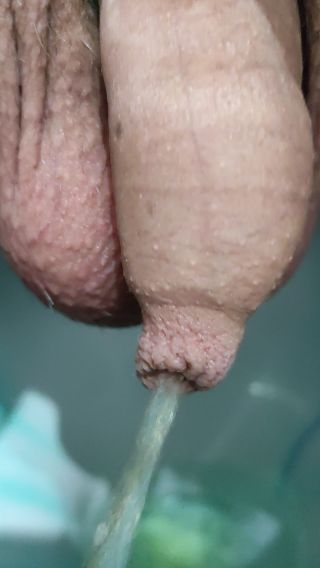 VID_20240617_123343.mp4