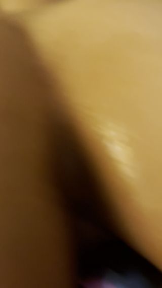 IMG_7919.MOV