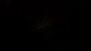 20240622_063728.mp4