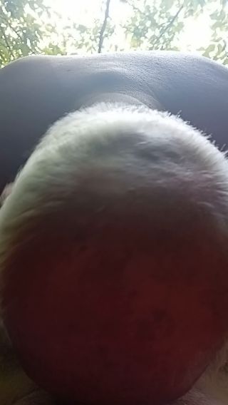 20240627_092211.mp4