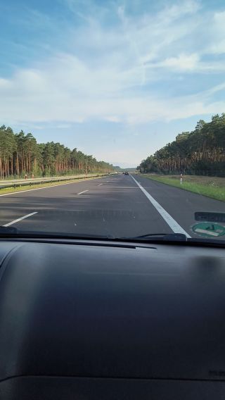 VID_20240727_073444948.mp4