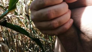 VID_20240907_160145.mp4