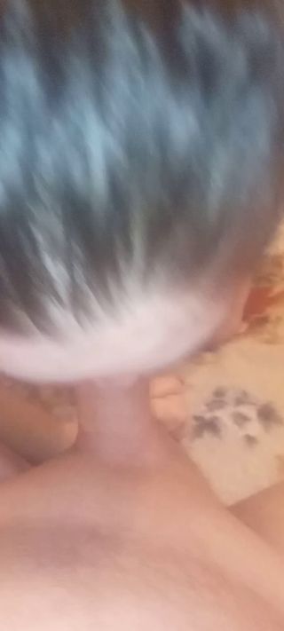 Paraostrysex86