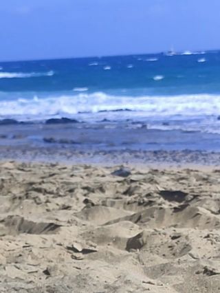 VID_20250207_083624.mp4