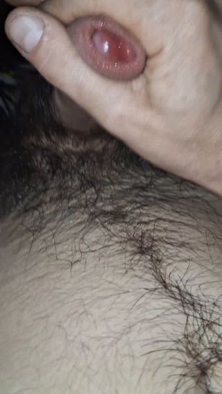 Bartexos23