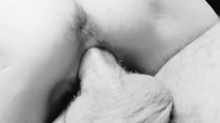 Milusi111