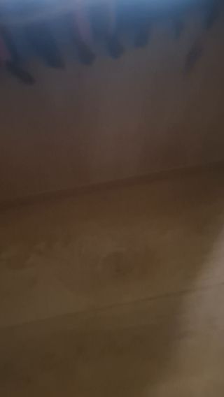 1000010558.mp4