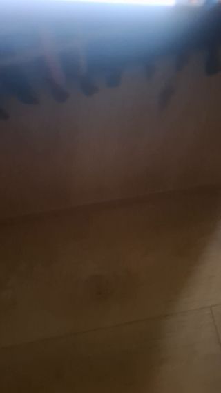 1000010558.mp4