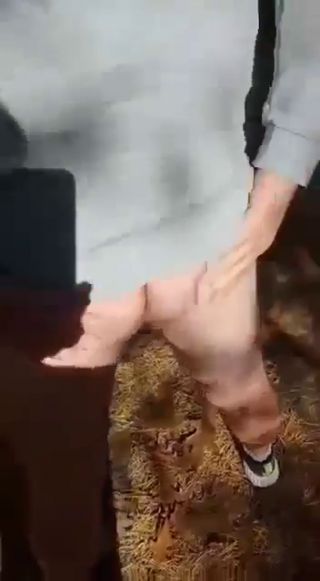 1000047675.mp4