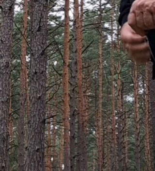 1000020341.mp4
