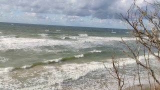 VID_20250822_164629.mp4