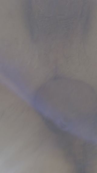takchce69