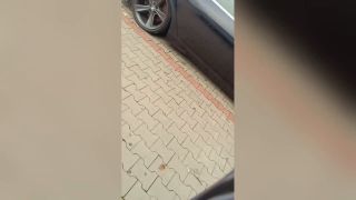1e6c3954dadf6271ec77ad87a1aba5ab.mp4