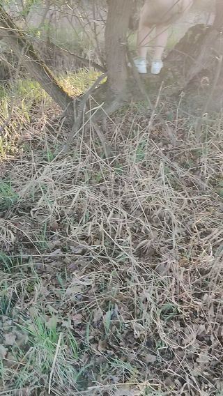 1000017729.mp4