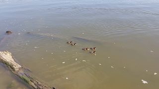 20260602_092540.mp4